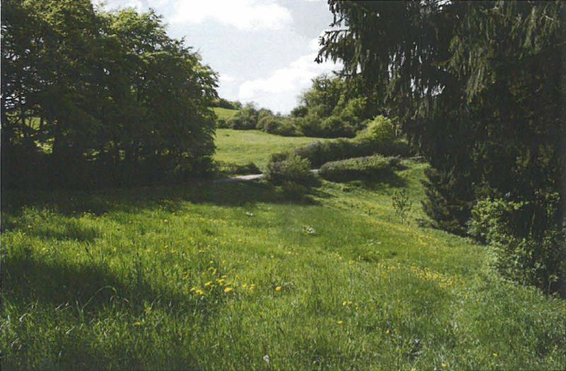 Natur erhalten